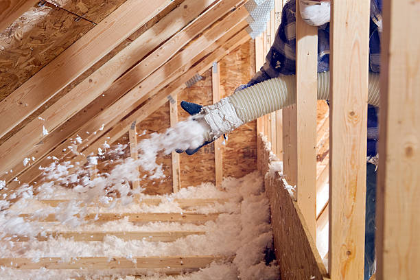 Best Wall Insulation Installation in Elkhart Lake, WI